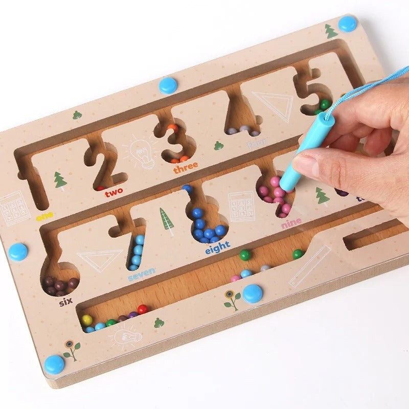 Magnetic Learning Maze Toy